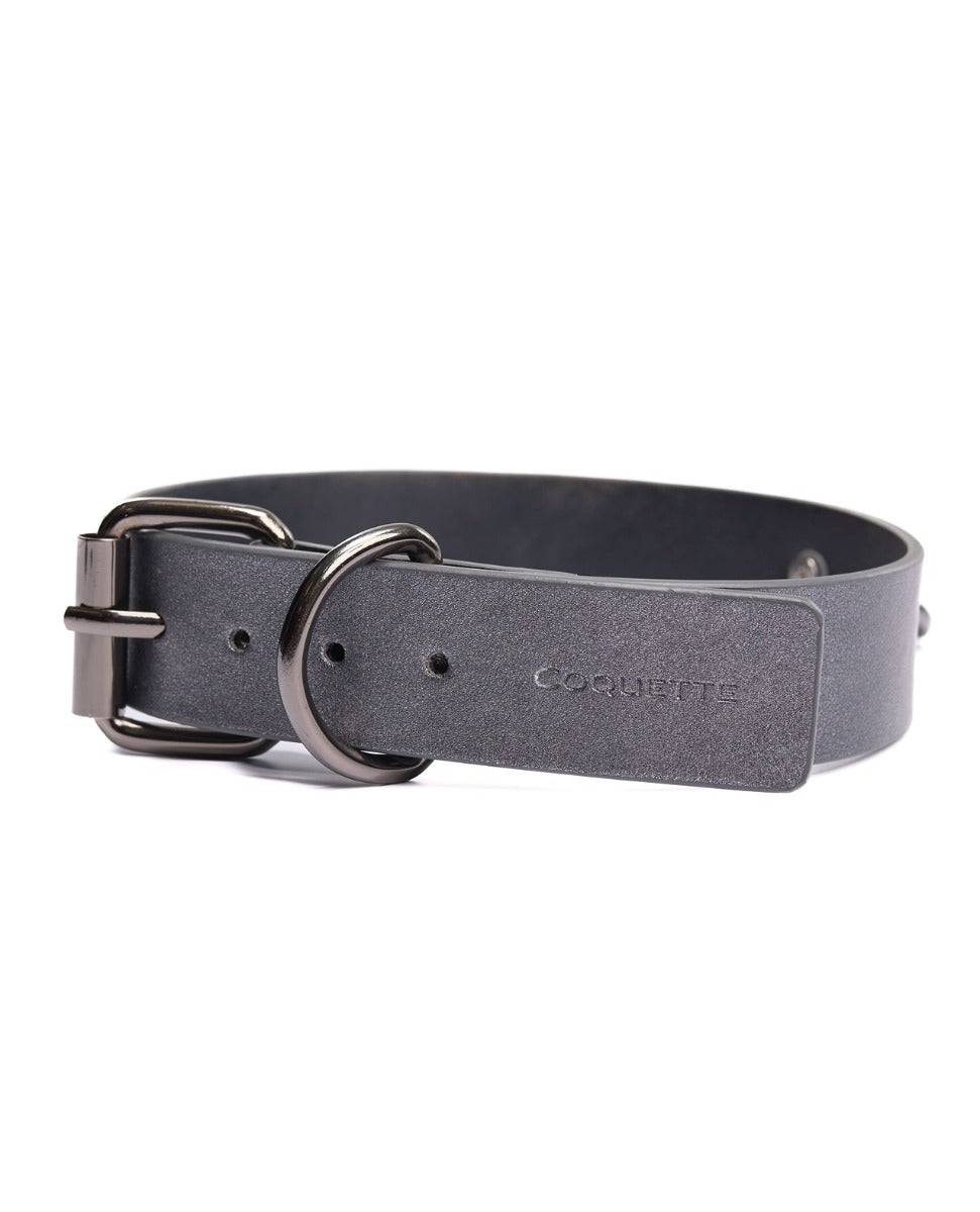 GUNMETAL GLAM — Collar & Lead