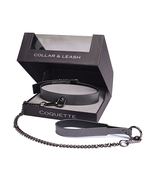 GUNMETAL GLAM  — Collar & Lead