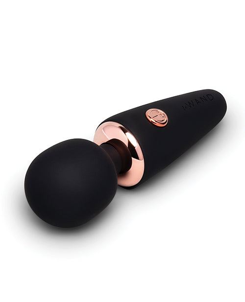 MICROWAND — Wand Massager
