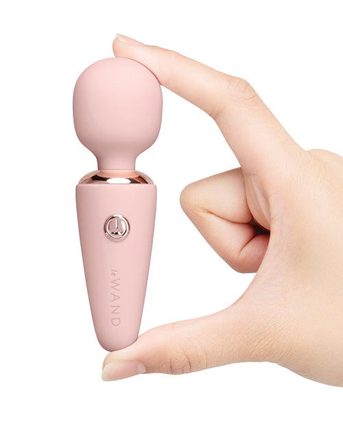 MICROWAND — Wand Massager