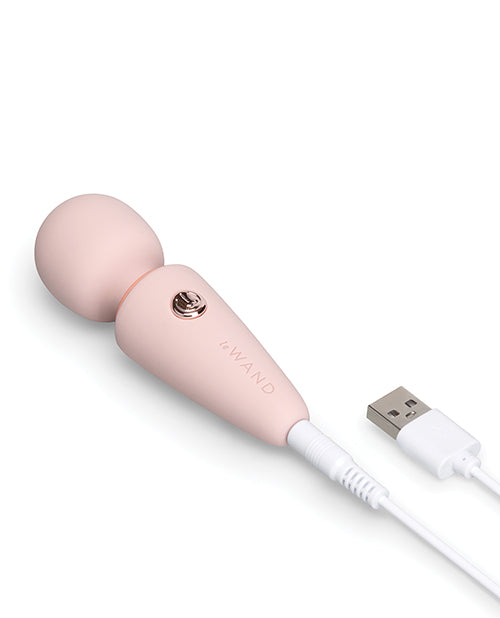 MICROWAND — Wand Massager